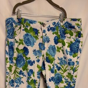 Metaphor Blue and Green Floral Pants Size 12